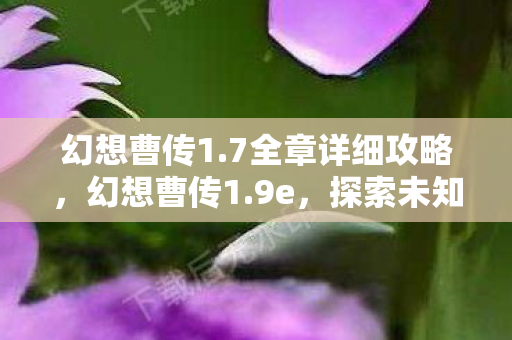 幻想曹传1.7全章详细攻略，幻想曹传1.9e，探索未知世界的奇幻之旅