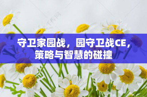 守卫家园战，园守卫战CE，策略与智慧的碰撞