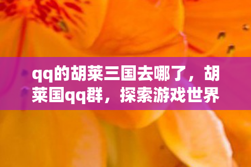 qq的胡莱三国去哪了,胡莱国qq群,探索游戏世界的另类社交圈 qq的胡莱三国去哪了,胡莱国qq群,探索游戏世界的另类社交圈