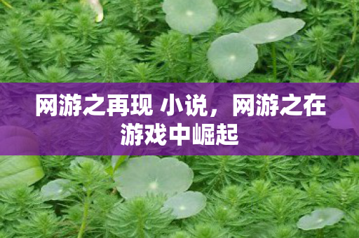 网游之再现 小说,网游之在游戏中崛起 网游之再现 小说,网游之在游戏中崛起