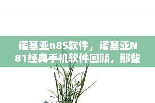 诺基亚n85软件，诺基亚N81经典手机软件回顾，那些陪伴我们的时光