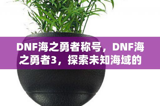 DNF海之勇者称号，DNF海之勇者3，探索未知海域的勇者之旅