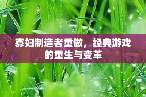 寡妇制造者重做,经典游戏的重生与变革 寡妇制造者重做,经典游戏的重生与变革