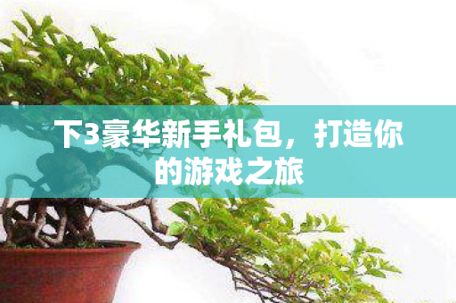 下3豪华新手礼包，打造你的游戏之旅