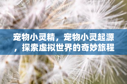 宠物小灵精,宠物小灵起源,探索虚拟世界的奇妙旅程 宠物小灵精,宠物小灵起源,探索虚拟世界的奇妙旅程