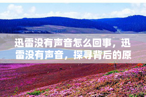 迅雷没有声音怎么回事,迅雷没有声音,探寻背后的原因与解决方案 迅雷没有声音怎么回事,迅雷没有声音,探寻背后的原因与解决方案