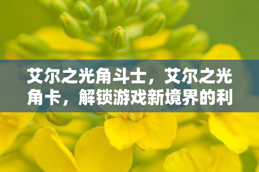 艾尔之光角斗士,艾尔之光角卡,解锁游戏新境界的利器 艾尔之光角斗士,艾尔之光角卡,解锁游戏新境界的利器