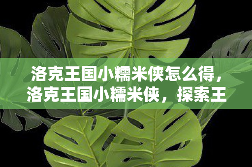 洛克王国小糯米侠怎么得，洛克王国小糯米侠，探索王国中的勇者传说
