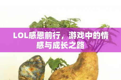 LOL感恩前行,游戏中的情感与成长之路 LOL感恩前行,游戏中的情感与成长之路