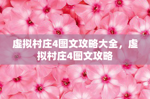 虚拟村庄4图文攻略大全，虚拟村庄4图文攻略