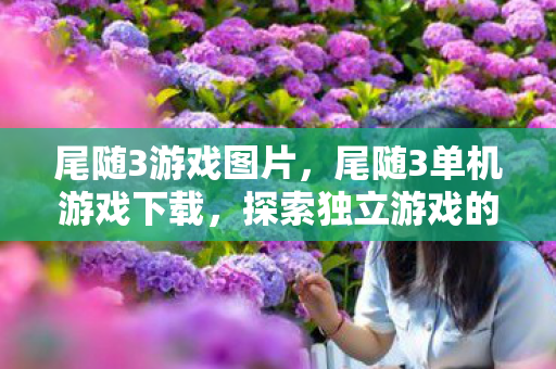 尾随3游戏图片，尾随3单机游戏下载，探索独立游戏的魅力与自由