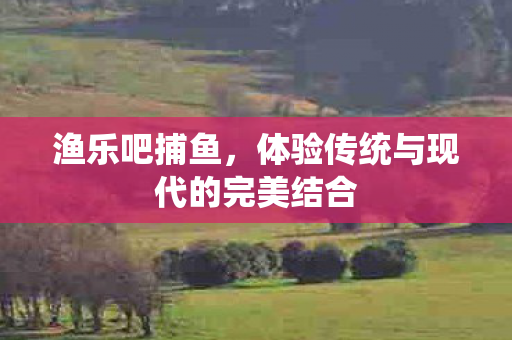 渔乐吧捕鱼,体验传统与现代的完美结合 渔乐吧捕鱼,体验传统与现代的完美结合