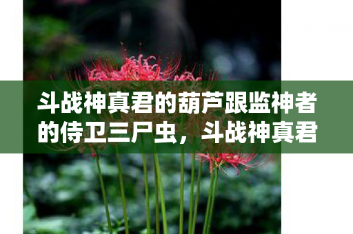 斗战神真君的葫芦跟监神者的侍卫三尸虫，斗战神真君的葫芦，探寻古老传说中的神秘法宝