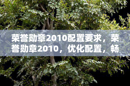 荣誉勋章2010配置要求,荣誉勋章2010,优化配置,畅享经典FPS 荣誉勋章2010配置要求,荣誉勋章2010,优化配置,畅享经典FPS