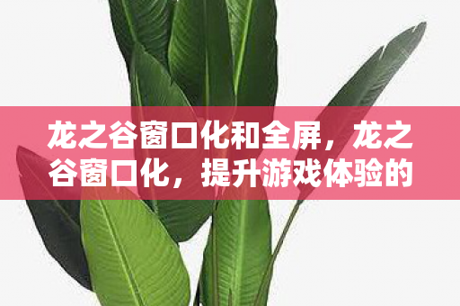 龙之谷窗口化和全屏，龙之谷窗口化，提升游戏体验的便捷途径