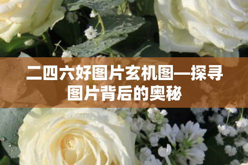 二四六好图片玄机图—探寻图片背后的奥秘 二四六好图片玄机图—探寻图片背后的奥秘