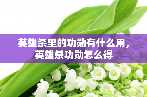 英雄杀里的功勋有什么用,英雄杀功勋怎么得 英雄杀里的功勋有什么用,英雄杀功勋怎么得