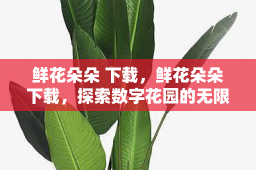 鲜花朵朵 下载,鲜花朵朵下载,探索数字花园的无限可能 鲜花朵朵 下载,鲜花朵朵下载,探索数字花园的无限可能