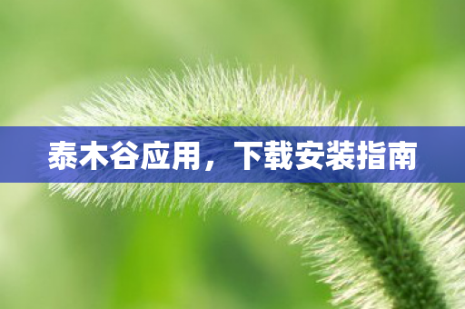 泰木谷应用,下载安装指南 泰木谷应用,下载安装指南