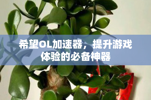 希望OL加速器,提升游戏体验的必备神器 希望OL加速器,提升游戏体验的必备神器