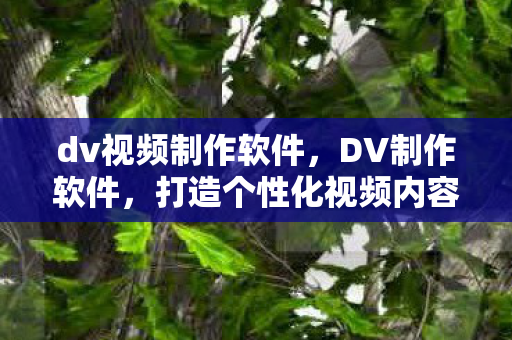 dv视频制作软件,DV制作软件,打造个性化视频内容的创意工具 dv视频制作软件,DV制作软件,打造个性化视频内容的创意工具