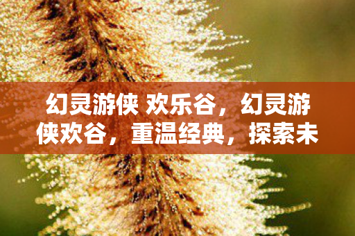 幻灵游侠 欢乐谷,幻灵游侠欢谷,重温经典,探索未知 幻灵游侠 欢乐谷,幻灵游侠欢谷,重温经典,探索未知
