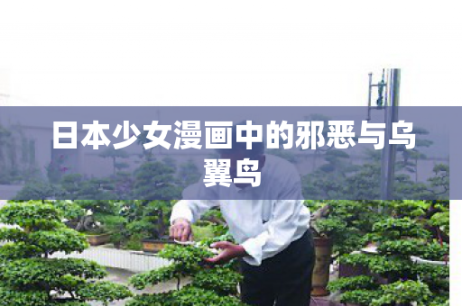 日本少女漫画中的邪恶与乌翼鸟 日本少女漫画中的邪恶与乌翼鸟