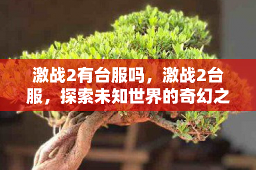 激战2有台服吗，激战2台服，探索未知世界的奇幻之旅