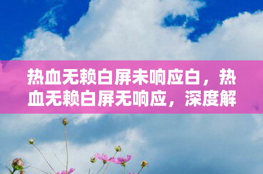 热血无赖白屏未响应白，热血无赖白屏无响应，深度解析与解决方案