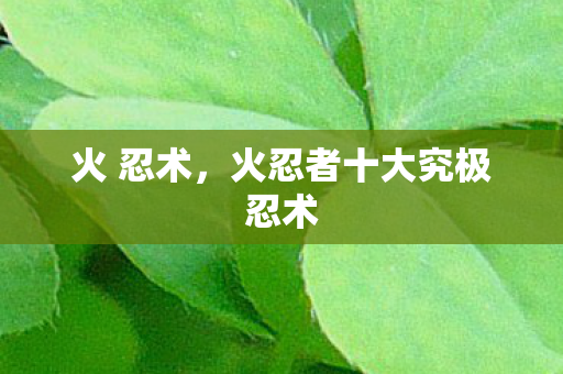 火 忍术,火忍者十大究极忍术 火 忍术,火忍者十大究极忍术