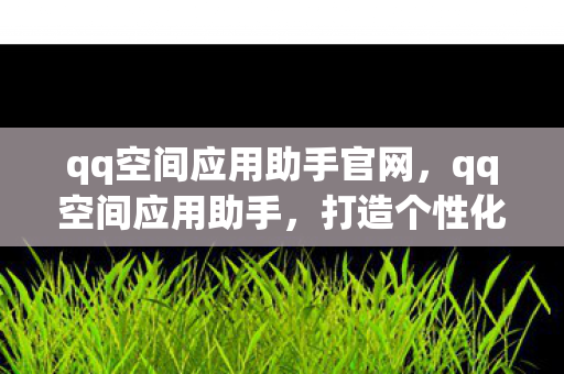 qq空间应用助手官网,qq空间应用助手,打造个性化空间的得力助手 qq空间应用助手官网,qq空间应用助手,打造个性化空间的得力助手