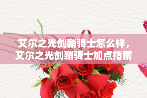 艾尔之光剑鞘骑士怎么样，艾尔之光剑鞘骑士加点指南