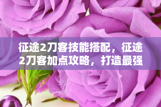 征途2刀客技能搭配,征途2刀客加点攻略,打造最强刀客,征战四方! 征途2刀客技能搭配,征途2刀客加点攻略,打造最强刀客,征战四方!