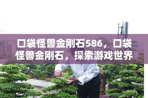 口袋怪兽金刚石586，口袋怪兽金刚石，探索游戏世界的珍贵宝藏