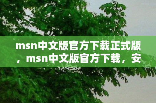 msn中文版官方下载正式版,msn中文版官方下载,安全、便捷、高效 msn中文版官方下载正式版,msn中文版官方下载,安全、便捷、高效