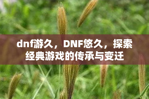 dnf游久，DNF悠久，探索经典游戏的传承与变迁