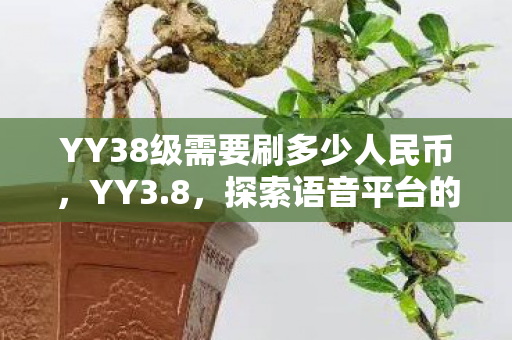 YY38级需要刷多少人民币,YY3.8,探索语音平台的无限可能 YY38级需要刷多少人民币,YY3.8,探索语音平台的无限可能