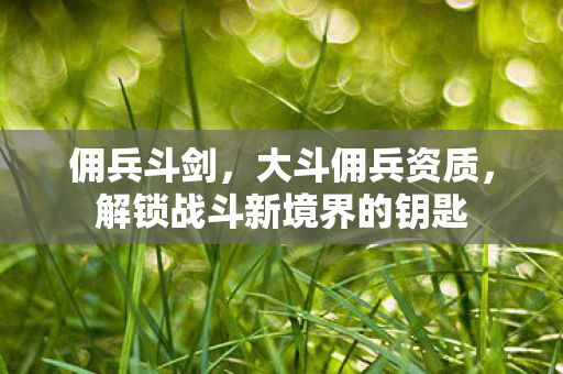 佣兵斗剑,大斗佣兵资质,解锁战斗新境界的钥匙 佣兵斗剑,大斗佣兵资质,解锁战斗新境界的钥匙