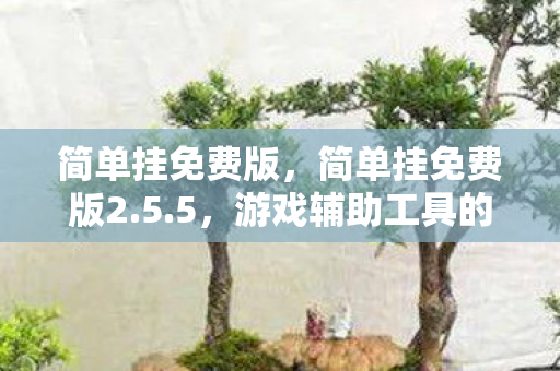 简单挂免费版，简单挂免费版2.5.5，游戏辅助工具的新选择