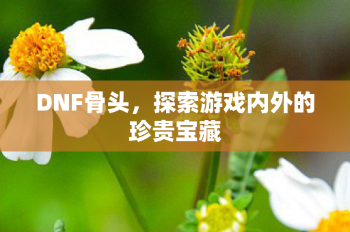DNF骨头,探索游戏内外的珍贵宝藏 DNF骨头,探索游戏内外的珍贵宝藏