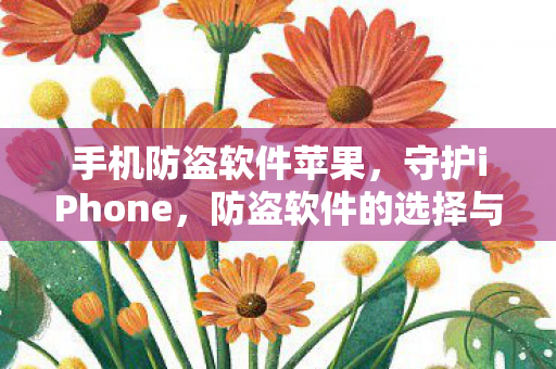 手机防盗软件苹果,守护iPhone,防盗软件的选择与评测 手机防盗软件苹果,守护iPhone,防盗软件的选择与评测