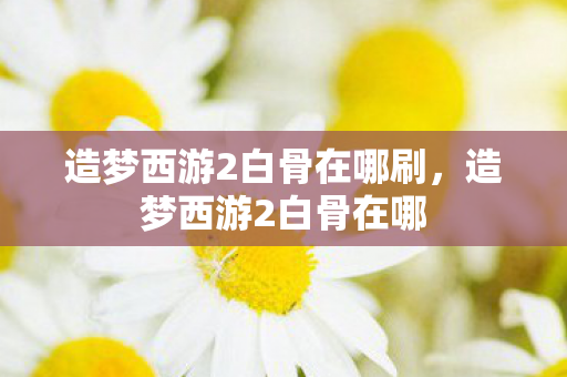造梦西游2白骨在哪刷，造梦西游2白骨在哪