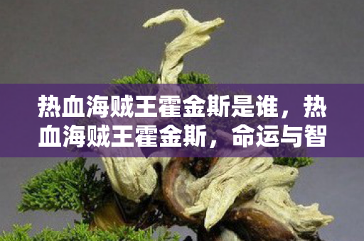 热血海贼王霍金斯是谁,热血海贼王霍金斯,命运与智慧的交织 热血海贼王霍金斯是谁,热血海贼王霍金斯,命运与智慧的交织
