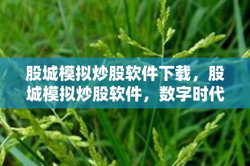 股城模拟炒股软件下载,股城模拟炒股软件,数字时代下的投资新选择 股城模拟炒股软件下载,股城模拟炒股软件,数字时代下的投资新选择