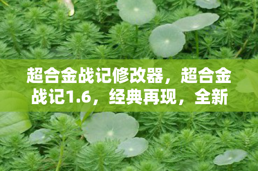 超合金战记修改器,超合金战记1.6,经典再现,全新挑战 超合金战记修改器,超合金战记1.6,经典再现,全新挑战