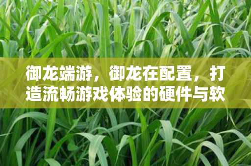 御龙端游,御龙在配置,打造流畅游戏体验的硬件与软件需求 御龙端游,御龙在配置,打造流畅游戏体验的硬件与软件需求