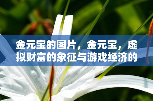 金元宝的图片,金元宝,虚拟财富的象征与游戏经济的探索 金元宝的图片,金元宝,虚拟财富的象征与游戏经济的探索