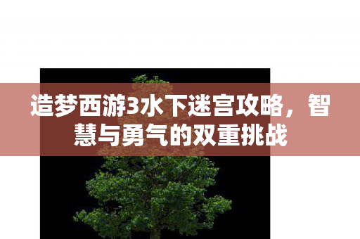 造梦西游3水下迷宫攻略,智慧与勇气的双重挑战 造梦西游3水下迷宫攻略,智慧与勇气的双重挑战