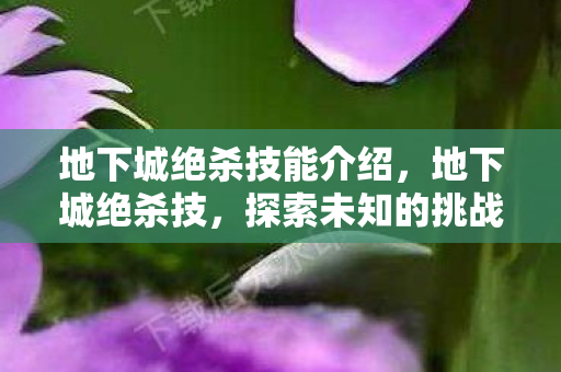 地下城绝杀技能介绍,地下城绝杀技,探索未知的挑战与荣耀 地下城绝杀技能介绍,地下城绝杀技,探索未知的挑战与荣耀