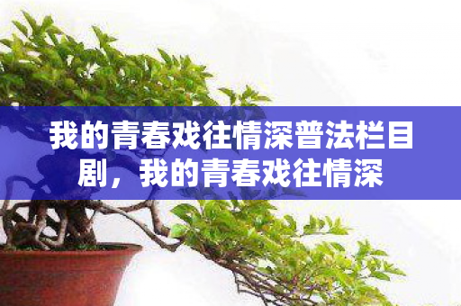 我的青春戏往情深普法栏目剧,我的青春戏往情深 我的青春戏往情深普法栏目剧,我的青春戏往情深